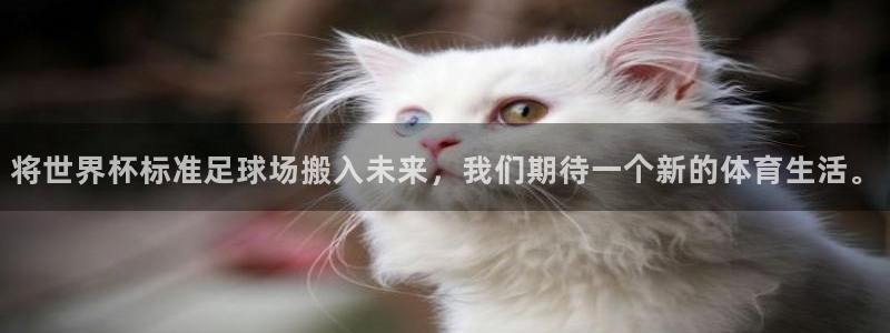 2026世界杯直播免费观看:将世界杯标准足球场搬入未来,我们期待一个新的体育生活。