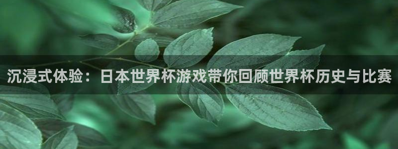 世界杯足球:沉浸式体验:日本世界杯游戏带你回顾世界杯历史与比赛