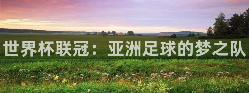 世界杯2026赛制:世界杯联冠:亚洲足球的梦之队