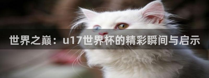 世界杯转播表:世界之巅:u17世界杯的精彩瞬间与启示