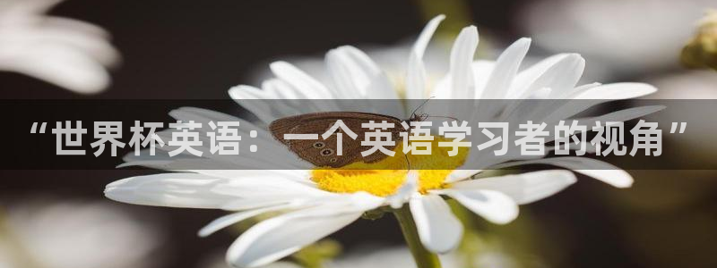 世界杯直播免费观看:“世界杯英语:一个英语学习者的视角”