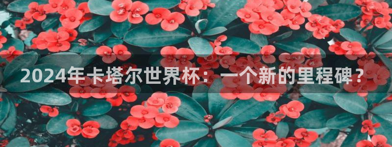 世界杯直播高清:2024年卡塔尔世界杯:一个新的里程碑?